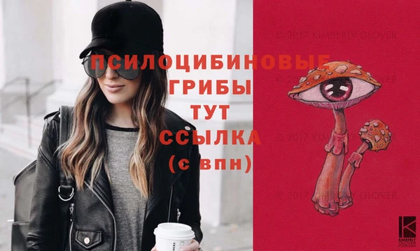 винт Армянск