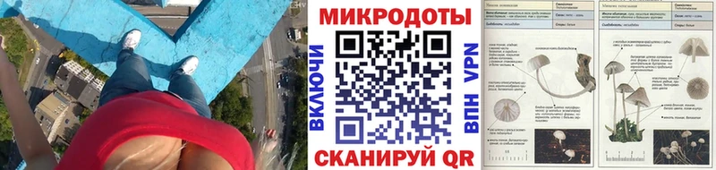 Галлюциногенные грибы Cubensis  hydra   Нововоронеж  хочу наркоту 